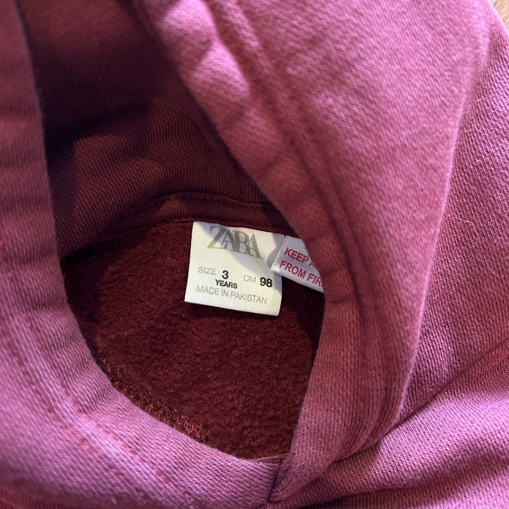 Zara Boys Maroon Hoodie size 3T - Picture 3 of 4